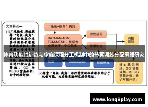体育功能性训练与家庭课程分工机制中的节奏训练分配策略研究